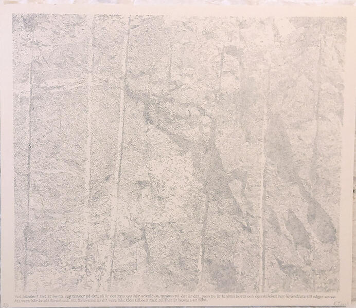 Stenbrott 60 x 50 cm - 50 euro