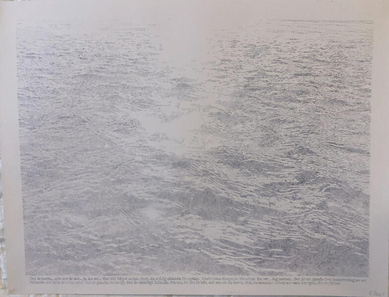 åsängssjön 60 x 50 cm - 50 euro